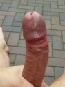 geilerhengst16x5