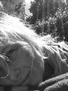 katzenfuss