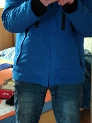 Lemmi81