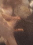 Nobody1980