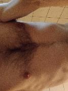Schwanzus_Longus