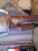 Seevetaler_Liebhaber