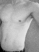 Ste1990
